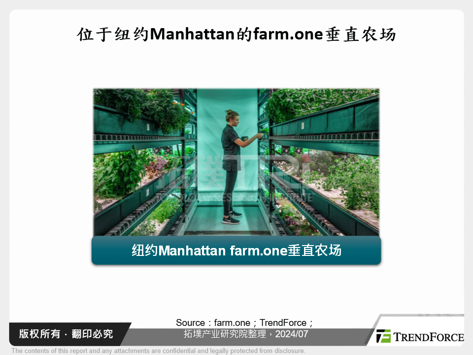 位于纽约Manhattan的farm.one垂直农场