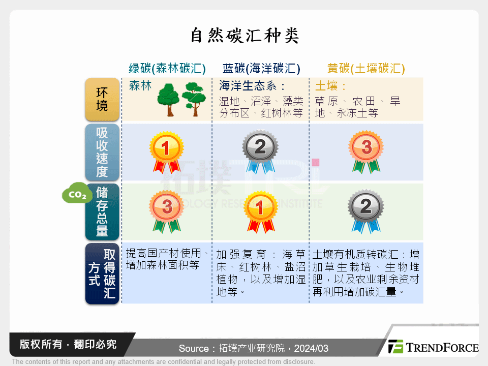 自然碳汇种类